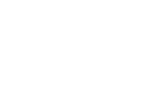Berufsfotografen Österreich | Logo